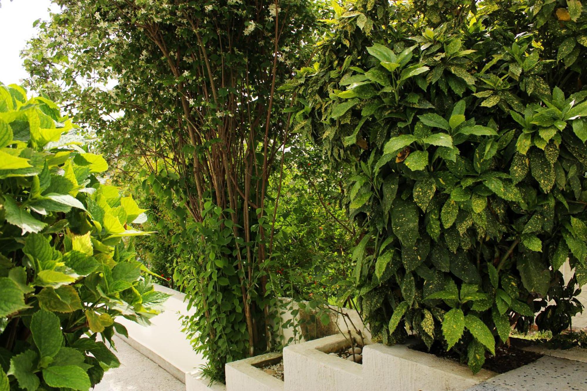 Villa Mila Petrovac Ngoại thất bức ảnh