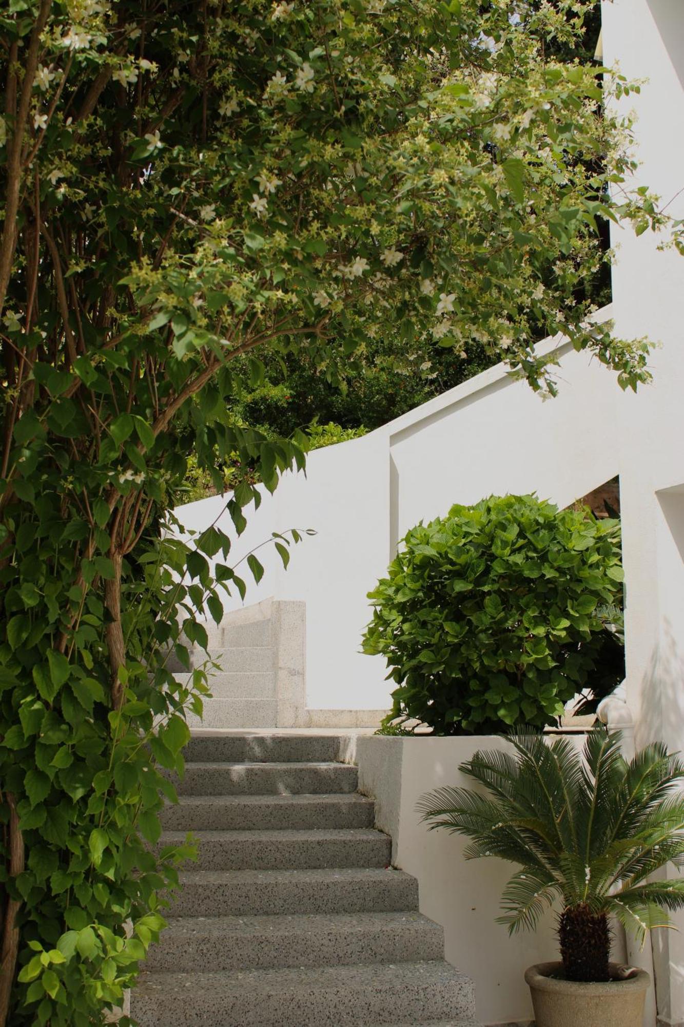 Villa Mila Petrovac Ngoại thất bức ảnh